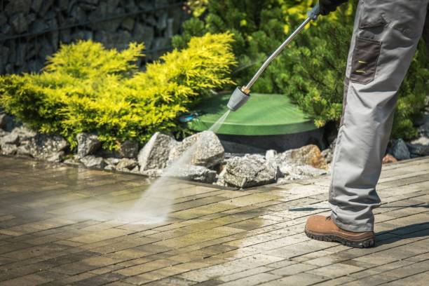 Best Fence Cleaning  in Mckeesport, PA
